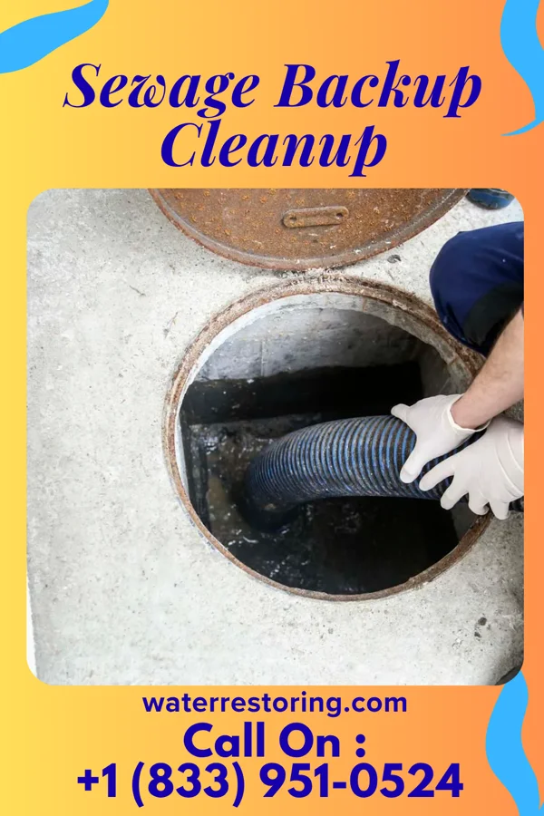 Sewage Backup Cleanup in Burlington, OK